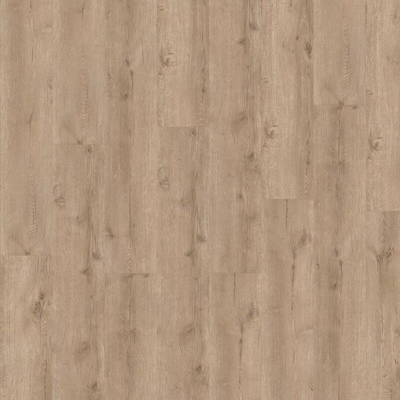  ADELAR SPC Eterna Acoustic Major Oak 05829LG